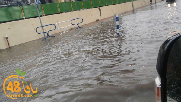 rainingdi yaffa (2).jpg